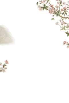长岛上的猫采集到素材