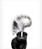 Baby skunk print Nursery animal prints The Crown Prints