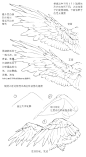 我的首页 微博-随时随地发现新鲜事