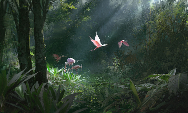Jungle Birds, Ricard...