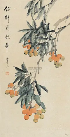 虚谷——《枇杷》欣赏  |  
虚谷(1823~1896)俗姓朱名怀仁，僧名虚白，字虚谷，清代著名画家，海上四大家之一，有&quot;晚清画苑第一家&quot;之誉。别号紫阳山民、倦鹤，室名觉非庵、古柏草堂、三十七峰草堂。籍新安(今歙县)，居广陵(扬州)。工山水、花卉、动物、禽鸟，尤长于画松鼠及金鱼。亦擅写真，工隶书。