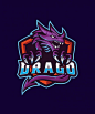 This may contain: the logo for a sports team with an angry dragon on it's chest and head