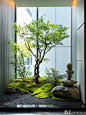 真心建议：别墅室内植物造景都选择这么做！ - 小红书