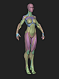 Stylized Female Blockout v1