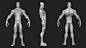 Stylized Average Anatomy Blockout