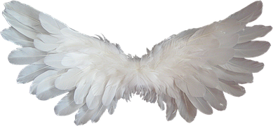 白, 天使, 翅膀, 羽毛, 天堂, 天...
