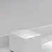 月光虫