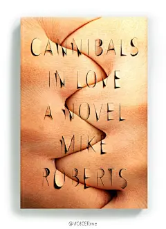 #2016年度榜单# NYtimes的2016最佳书籍封面设计（The Best Book Covers of 2016），由NYtimes的艺术总监Matt Dorfman选出：“If good design might lure us into an experience that makes us smarter, then we’ve hit the jackpot when the book allows us to spend time within the head space of a..