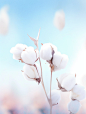 cotton flower against the sky, in the style of minimalist backgrounds, gossamer fabrics, spectacular backdrops, minimalist purity, photobashing, organic material, soft-edged