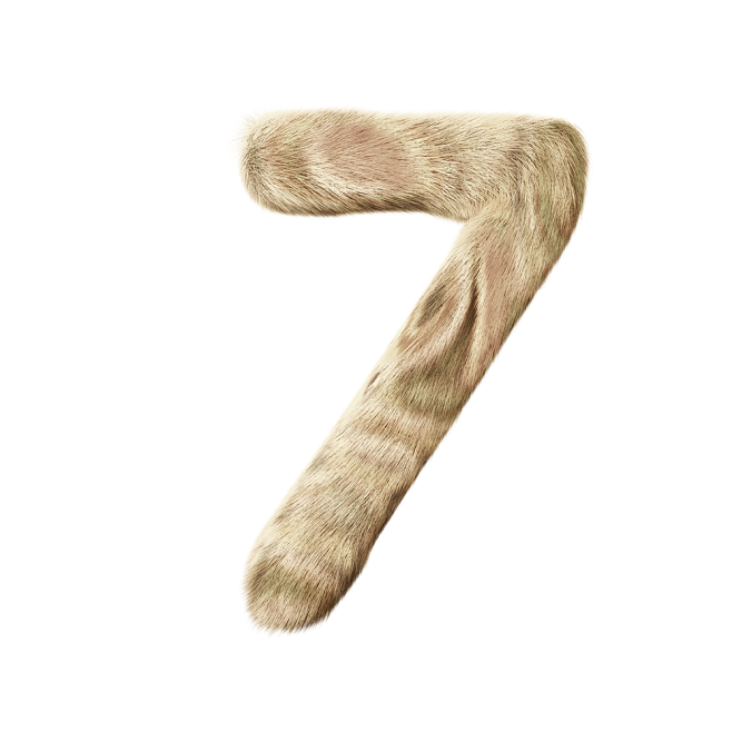 FunnyFurry3Dnumbers