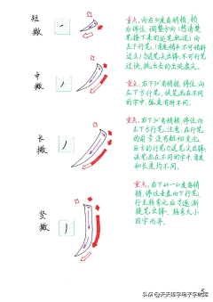 攒钱过年采集到书法