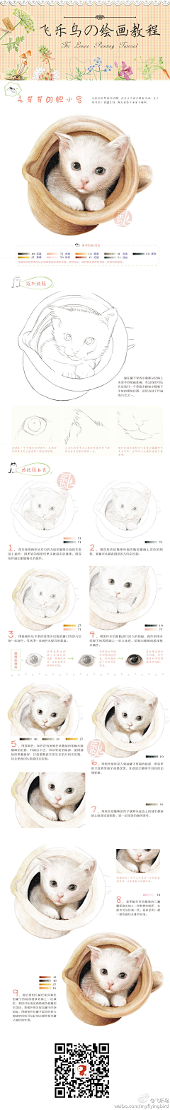 商业展示SYR采集到手绘