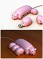 [【产品设计】母猪USB插口！很好的灵感，很好的创意。] 