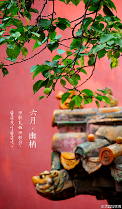 集美小能手采集到藏在心中的美