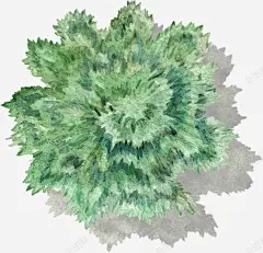 手绘植物装饰 免抠png 设计图片 免费下载 页面网页 平面电商 创意素材