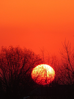 佛瑞采集到太阳