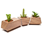 Walnut Boxcar Planters : The Boxcar planter by Joe Gibson for Revolution Dedign House is handmade from solid Walnut.Nest the three planters together along a window sill or as a table top center-piece. This is a set of three solid Walnut wood planters with