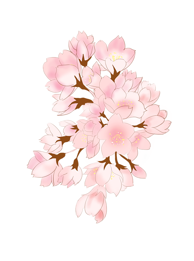免扣素材 仿真鲜花，手绘画，水彩画，干花...