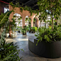 Greenery Unlimited Design Store [Brooklyn] : Greenery Unlimited is one of the first biophilic design store in the world, connecting a shopping space with natural environment. Surrounded by leaves and exotic plants, the visitors are invited to stroll aroun