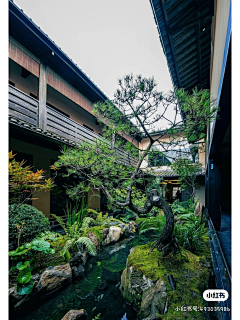 ®♥®采集到水景