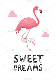 可爱的,火烈鸟,文字,贺卡,斯堪的纳维亚半岛,热带气候,浪漫,女性特质,公主,小的