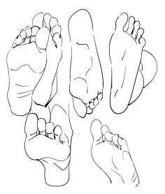 脚·人体局部结构-花瓣网|陪你做生活的设计师 | tudy of feet.