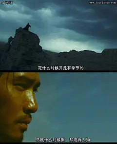 东邪西毒,王家卫,梁朝伟台词图片壁纸