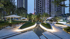 L带泪的鱼采集到树池