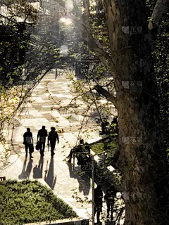人,高视角,轮廓,第九楼,透过窗户往外看,活力,城市生活,暗色,土耳其,清新