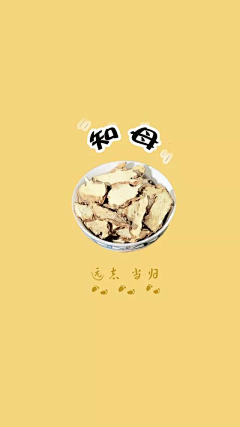 阿宅学医记采集到知母