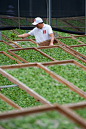 制茶人的搜索结果_360图片