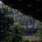 雨,平流层,自然,倾盆大雨,暴雨,浪漫,环境,自然界的状态,季候风,方形画幅
