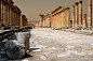 Apamea, Syria.
