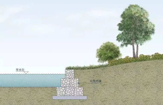 专题研究 | 乡村湿地设计中生态驳岸的技...