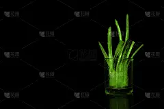 剥皮芦荟叶显示透明凝胶内。