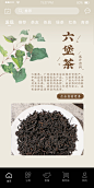 百科背景图-六堡茶