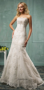 Amelia Sposa 2014 Wedding Dresses(五)