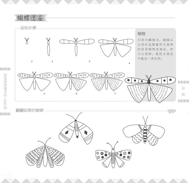 《简笔画幸福手绘10000例》动物 (6...