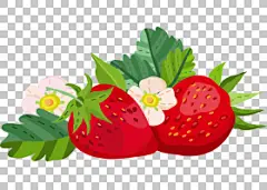 psd素材设计-草莓植物手绘插画免扣