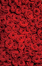海报活动红色玫瑰花高清素材 活动 海报 玫瑰花 红色 背景底图 背景 设计图片 免费下载 页面网页 平面电商 创意素材