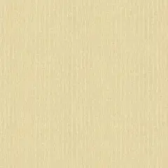 壁纸