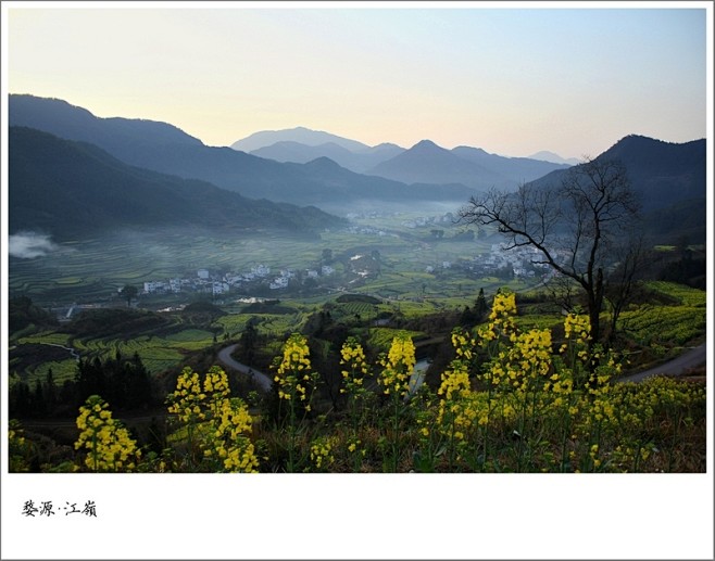 正是油菜花开的季节_途客们的旅行梦