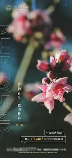 地产商业立春节气海报