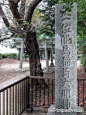 川崎市旅游, 川崎市旅游景点 - TripAdvisor(猫途鹰) : TripAdvisor(猫途鹰)，去川崎市旅游？先看全球1000万旅友提供的3500万条神奈川县川崎市旅游建议，欢迎在TripAdvisor查看神奈川县川崎市旅游景点,神奈川县川崎市旅游境景点介绍,神奈川县川崎市旅游攻略,神奈川县川崎市旅游地图，给您一个完美的旅程。