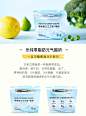 两鲜 FreshFresh.com | [第二件半价]乐纯 零脂肪三三三倍酸奶 135g