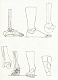 #绘画参考# 收集Gottfried Bammes（德国巴莫斯教授，艺院解剖课教授，他的人体解剖资料被不少国外艺术生当做圣经般拜读）的腿部结构（腿-膝盖-脚）的解析图
