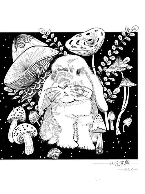 版画 兔_百度图片搜索