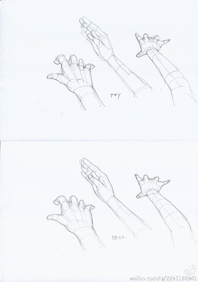 #绘画#手在拿扇子时，不同角度的画法id...