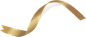 金丝带2