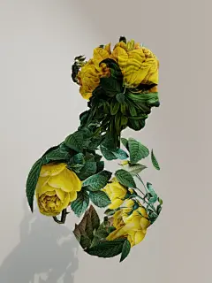 鲜花人形石膏像3D效果图素材图片